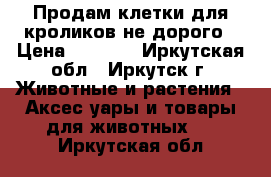 Продам клетки для кроликов не дорого › Цена ­ 2 300 - Иркутская обл., Иркутск г. Животные и растения » Аксесcуары и товары для животных   . Иркутская обл.